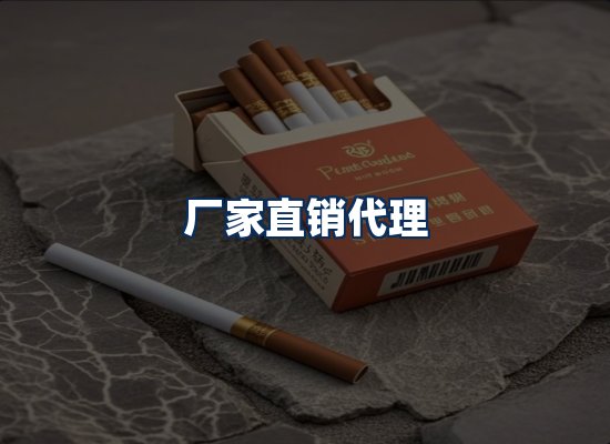 专业团队办公环境